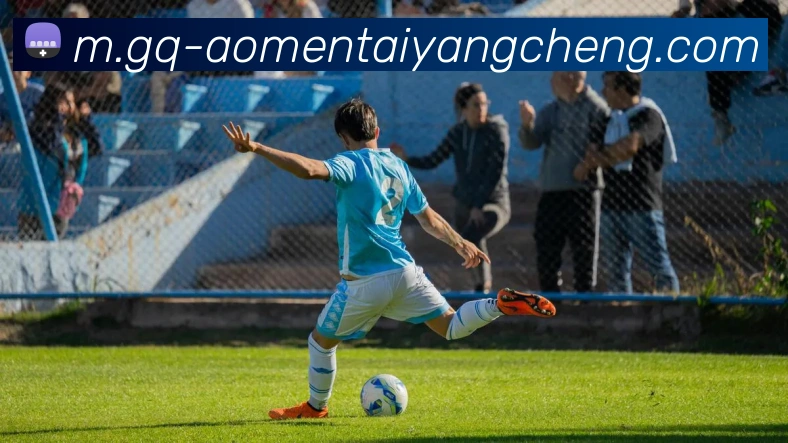 太阳城网站平台生态图