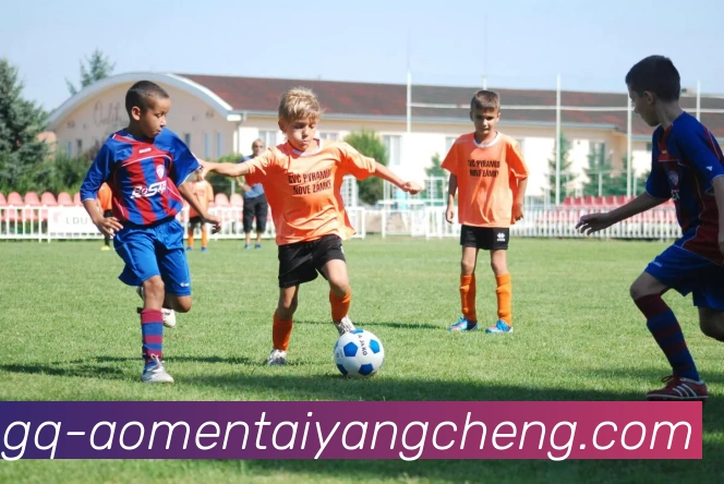 辅助工具 辅助工具